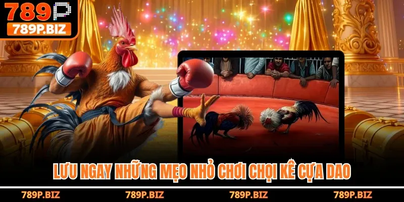 Lưu ngay những mẹo nhỏ chơi chọi kê cựa dao 